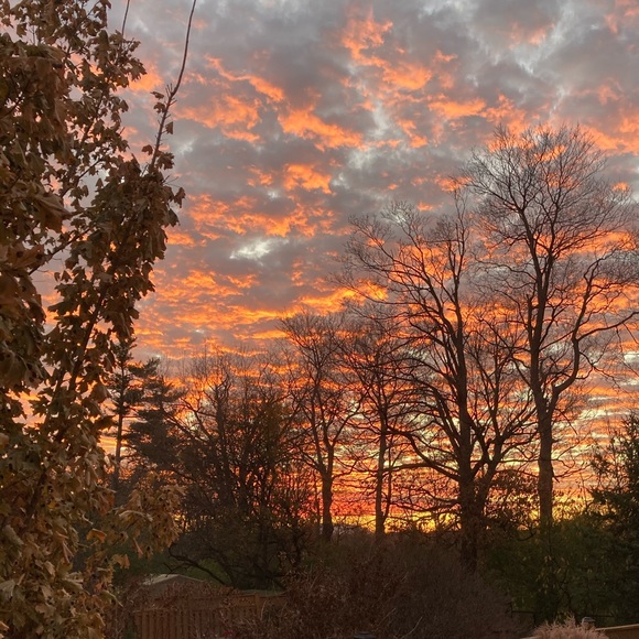 Meet your Posher, Cindy - Picture 1 of 1